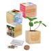 Pot cube - Bulbes de trèfle à 4 feuilles wholesaler
