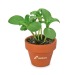 Mini pot terre cuite sous pochette - Bulbes de trèfle à 4 feuilles wholesaler