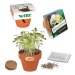 Mini pot terre cuite, fourreau chapeau - Bulbes de trèfle à 4 feuilles, trèfle à 4 feuilles promotional