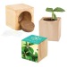 Pot cube bois maxi - Bulbes de trèfle à 4 feuilles wholesaler