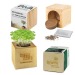 Pot cube bois maxi - Bulbes de trèfle à 4 feuilles, trèfle à 4 feuilles promotional