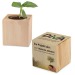 Pot cube - Bulbes de trèfle à 4 feuilles wholesaler