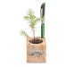Product thumbnail Wooden cube Christmas desk pot - Spruce - Spruce 1