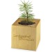 Pot cube bois Maxi de Noël - Epicéa - Epicéa wholesaler