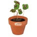 Mini pot en terre cuite sous pochette - Four-leaf clover wholesaler