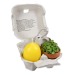 Le plaisir en boîte - avec set de plantation mini-pot en terre cuite, bougie ?uf, moule à gâteau ?lapin? wholesaler