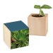 Product thumbnail Mini Christmas wooden cube pot - Spruce - Spruce 0