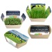 Mini Garden with Seeds - Four Leaf Clover Bulbs, four-leaf clover promotional