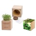 Plante-bois Grande avec graines - Bulbes de trèfle à 4 feuilles wholesaler