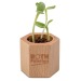 Hexagon Pot Cube with Seeds - Four Leaf Clover Bulbs, four-leaf clover promotional