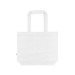 Tote bag Aconcagua, Tote bag promotional