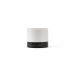 Gauss loudspeaker, Promotional speaker promotional