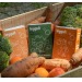 Savon BIO corps et mains à la carotte 100% français, Savon promotional