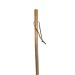 Walking stick, walking stick promotional
