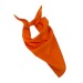 Bandana / Scarf, bandana promotional