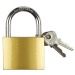 Cadenas de sécurité à clé h8.6cm wholesaler
