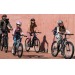 Fermoir antivol vélo 450mm sécurité wholesaler