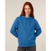 Cruiser 2.0 - Le sweat à capuche unisexe Iconic wholesaler
