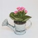 Product thumbnail Zinc watering can with mini flowering plant 0
