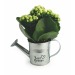 Product thumbnail Zinc watering can with mini flowering plant 3