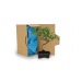 Product thumbnail Bonsai cardboard 1