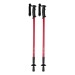 Brulen Nordic walking poles wholesaler