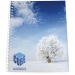 Product thumbnail Desk-Mate® A4 spiral notebook with PP cover 0