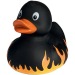 Canard fête - MBW wholesaler
