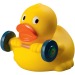 Canard sport - MBW wholesaler