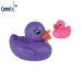 Canard magique - MBW wholesaler