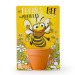 Product thumbnail Nature card - Bee flowers to sow 1