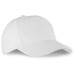 5p organic cotton cap, Durable hat and cap promotional