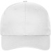 Organic cap - DAIBER wholesaler