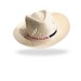 Chapeau paille blanche PLANTEUR wholesaler