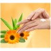 Product thumbnail Anti-inflammatory hand cream 50ml 2