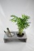 Double pot glass and wood wholesaler