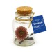 Product thumbnail Dried flower bottle 1