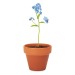 FORGET ME NOT - Pot of forget-me-not seeds, Bag of seeds promotional