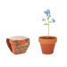 Product thumbnail FORGET ME NOT - Pot of forget-me-not seeds 0