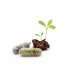 Product thumbnail Seed capsule 3