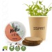 Cardboard cup with seeds - Planting kit wholesaler