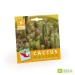 Product thumbnail Cactus seeds in bags 1