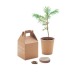 Product thumbnail Growtree - One Set, One Pin 2