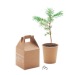 Growtree - One Set, One Pin, Bag of seeds promotional