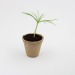 Tree kit peat pot, Seed sachet promotional