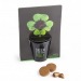 Product thumbnail Black planting kit - 4-leaf clover 1