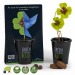 Product thumbnail Black planting kit - 4-leaf clover 4
