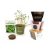 Planting kit Rice - Coloured pot wholesaler