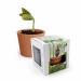 Product thumbnail Planting kit with engraved seeds 3