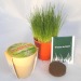 Product thumbnail Biodegradable bamboo pot planting kit 2